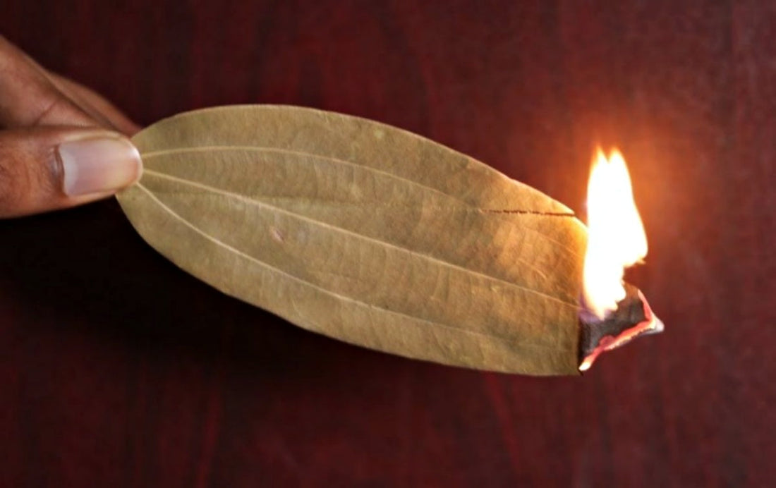 Spaľovanie Bobkového Listu: Pre Príjemnú Arómu a Pohodu Domova